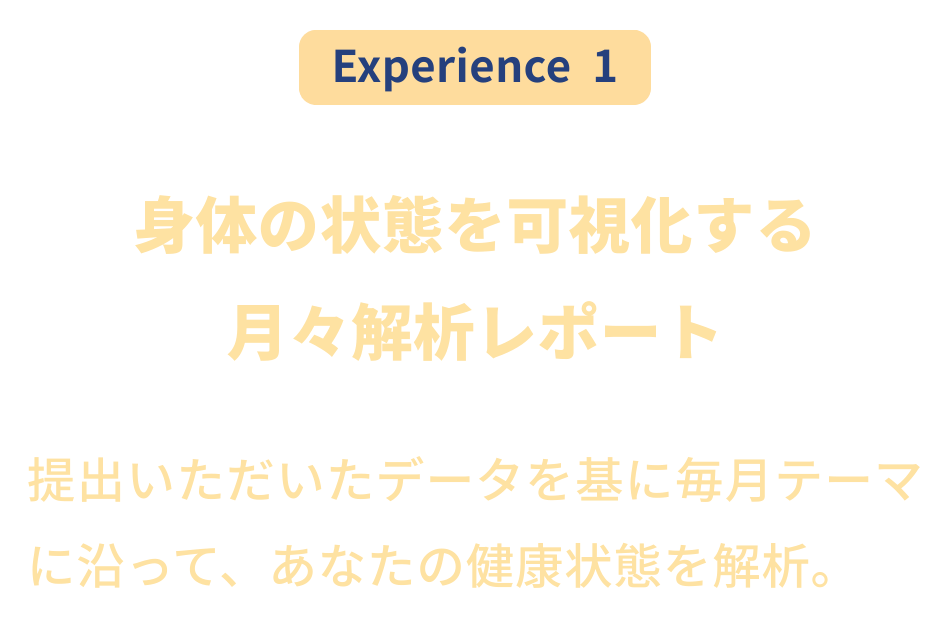 解析レポート画像