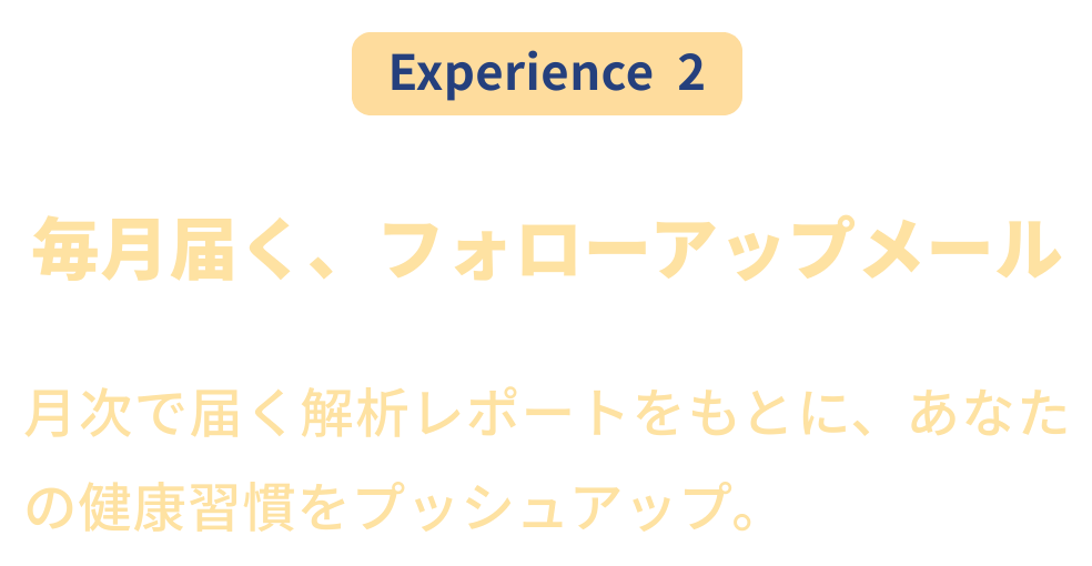 解析レポート画像